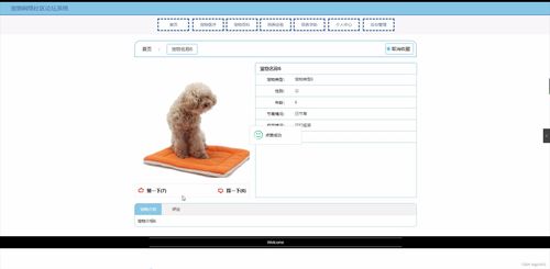 SpringBoot寵物網(wǎng)絡(luò)社區(qū)論壇系統(tǒng)設(shè)計與實現(xiàn)——計算機軟硬件研究